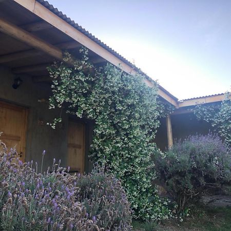 Tikaykilla Lodge & Wines Maipú Buitenkant foto