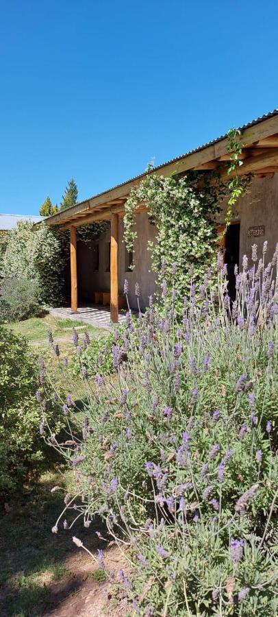 Tikaykilla Lodge & Wines Maipú Buitenkant foto