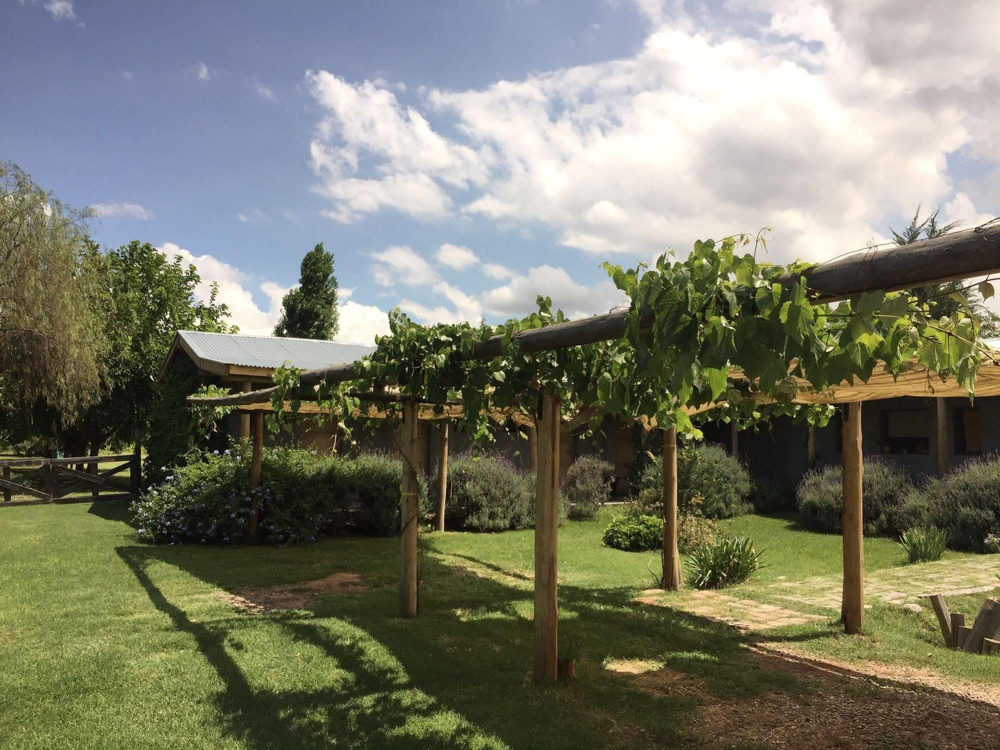 Tikaykilla Lodge & Wines Maipú Buitenkant foto