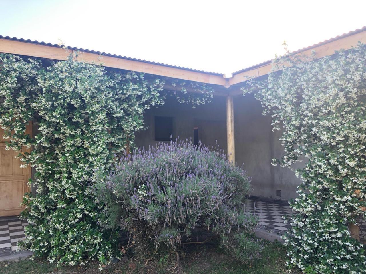 Tikaykilla Lodge & Wines Maipú Buitenkant foto